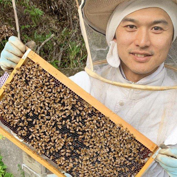 【おおきみとはちみつ】宮崎県産イチゴジャム、はちみつセット　ギフト プレゼント 贈答品　御中元 |  | 07
