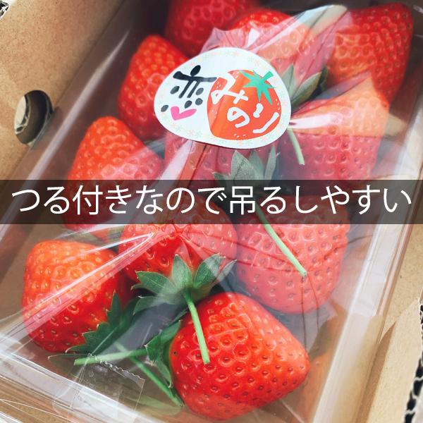 おうち時間を楽しもう おうちでイチゴ狩り おおきみ 恋みのりセット Ouchi Ichigo1 やお九州 通販 Yahoo ショッピング