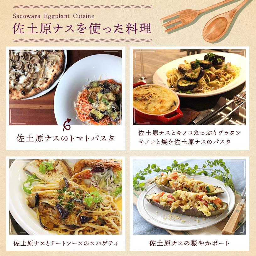 宮崎県特産品【佐土原茄子】佐土原茄子１０本｜yao800｜07