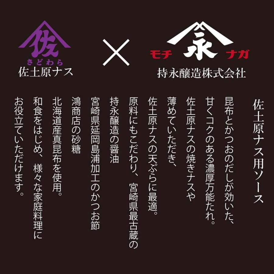 宮崎県特産品【佐土原茄子B品】佐土原茄子４本、専用タレ１本（100ml） |  | 06