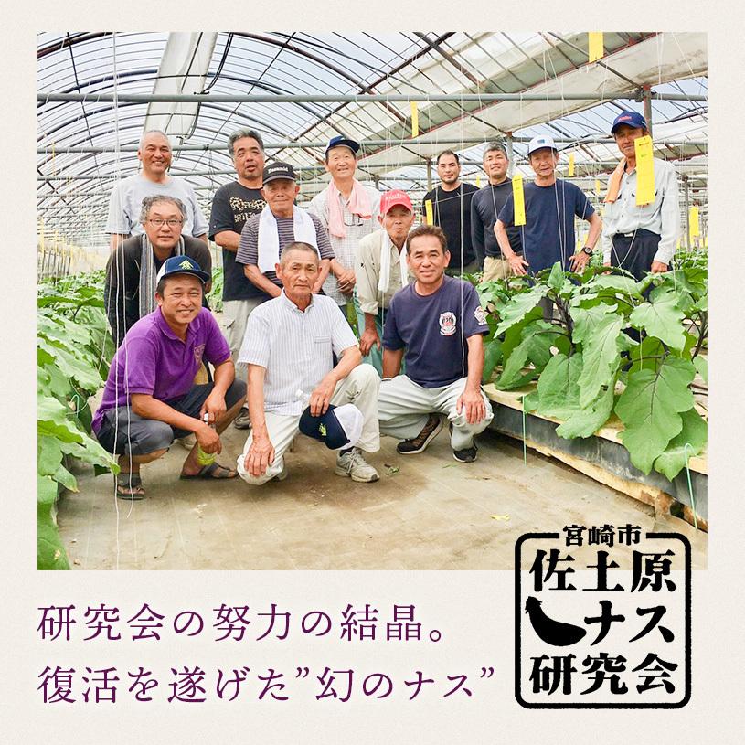 宮崎県特産品【佐土原茄子】佐土原茄子B品１０本 |  | 03