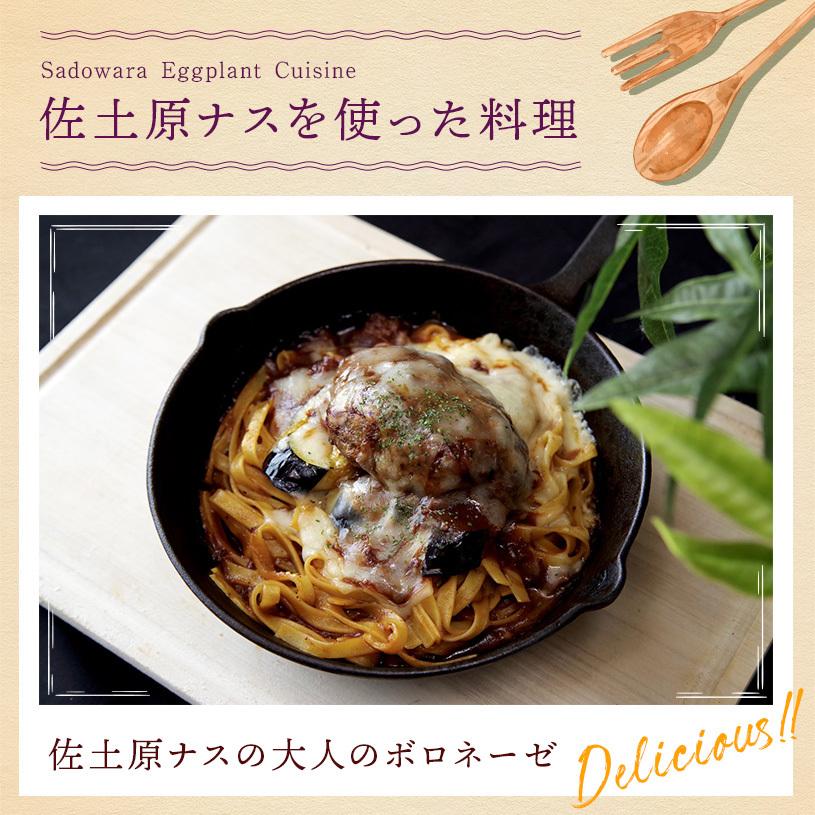 宮崎県特産品【佐土原茄子】佐土原茄子B品１０本 |  | 05