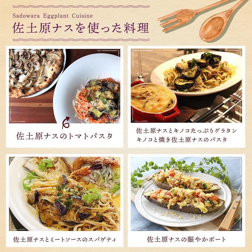 宮崎県特産品【佐土原茄子】佐土原茄子B品１０本 |  | 06