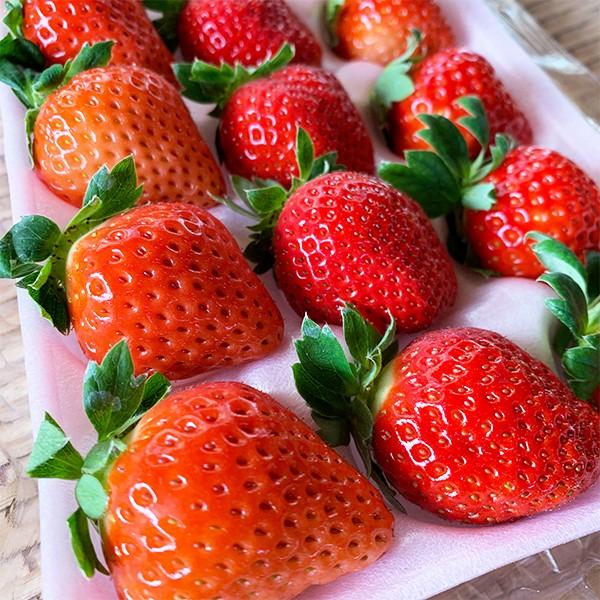 【宮崎県産イチゴ３種食べ比べセット】おおきみ、さちのか、恋みのり |  | 01