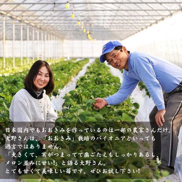 【宮崎県産イチゴ３種食べ比べセット】おおきみ、さちのか、恋みのり |  | 03