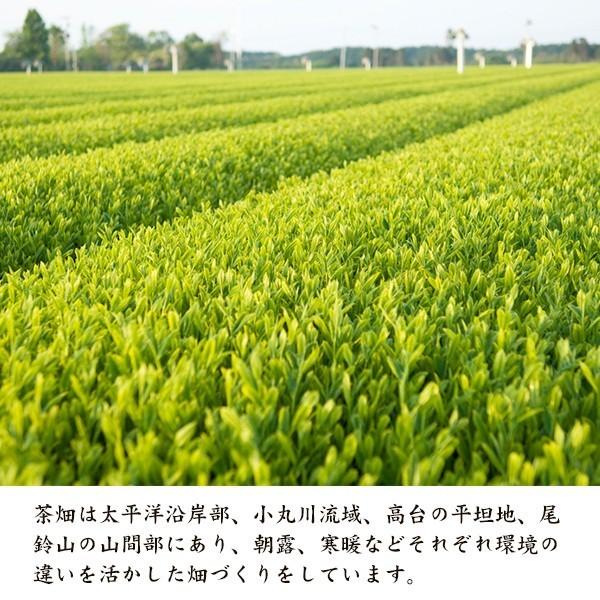 大塚園とプリンスホテルが共同開発したお茶【The FIRST GREEN TEA】１ケース（24本入り） |  | 02