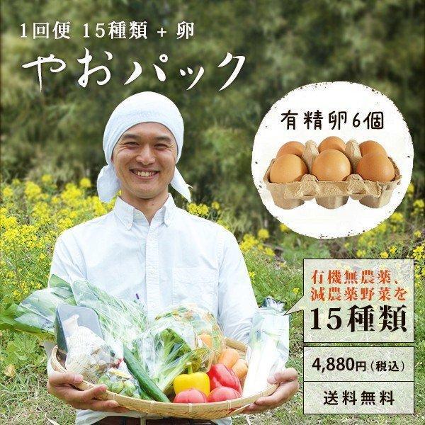野菜セット やおパック １回便　15種類と卵　送料無料 | 