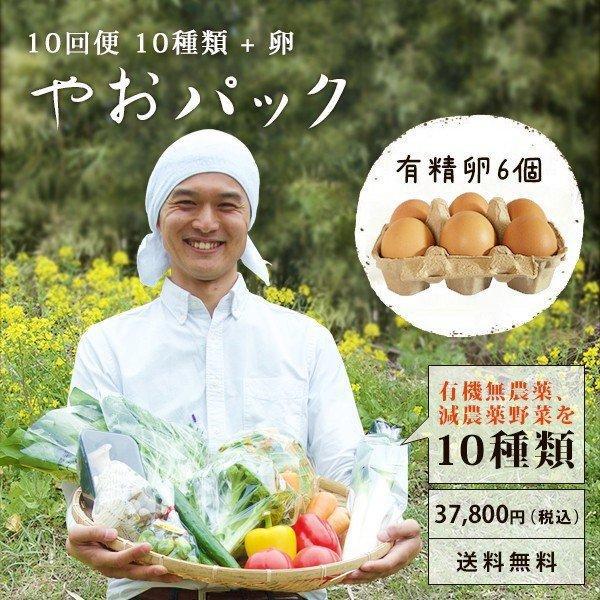 野菜セット やおパック 10回便　10種類と卵　毎週または隔週お届け　送料無料 | 