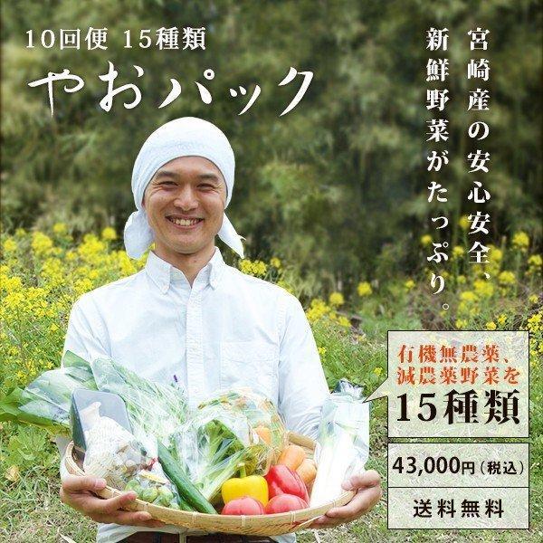 野菜セット やおパック 10回便　15種類　毎週または隔週お届け　送料無料 | 