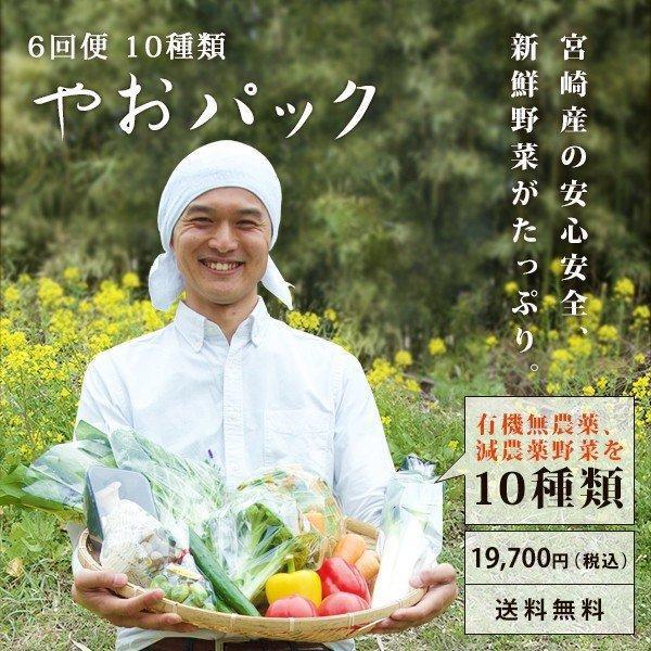 野菜セット やおパック ６回便　10種類　月１回お届け　送料無料 | 