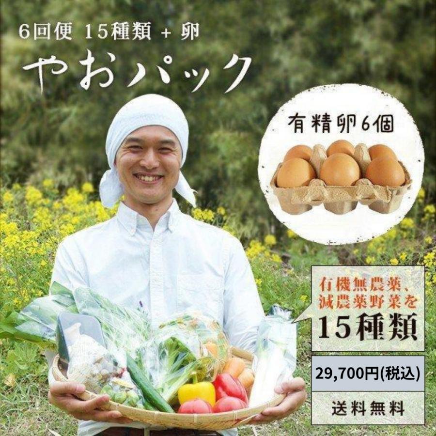 野菜セット やおパック ６回便　15種類と卵　月１回お届け　送料無料 | 