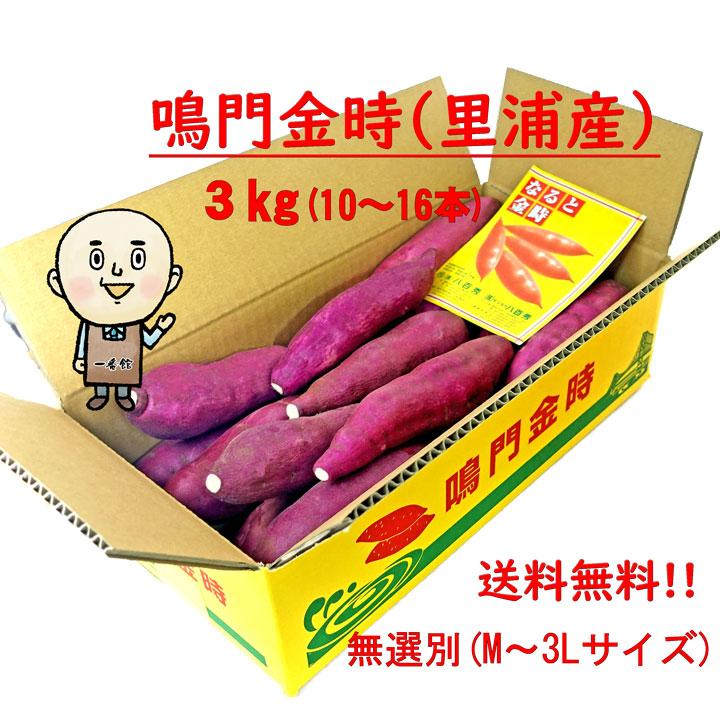 送料無料】鳴門金時 さつま芋 3Kg(里浦産)※北海道、沖縄 送料無料】鳴門金時 さつま芋 3Kg(里浦産)※北海道、沖縄