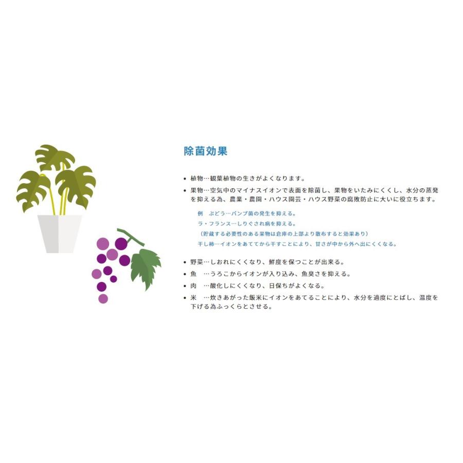 ninigi　医療用物質生成器 zx05_rksp02.jpg