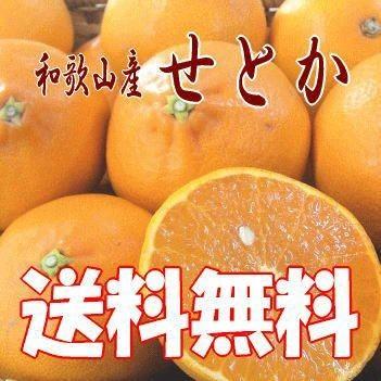 和歌山産 希少な柑橘≪ せとか≫ 濃厚でとろける美味しさ！2.2kg /訳