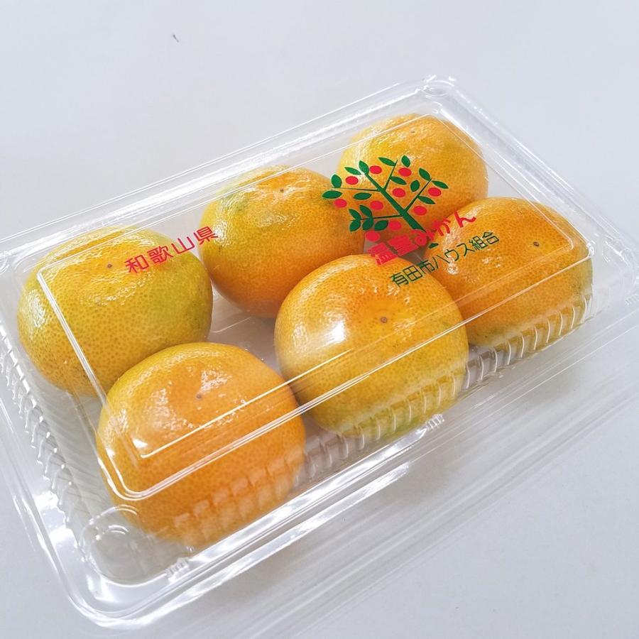 ハウスみかん 6個入り×4パック 和歌山の夏の高糖度みかん 送料無料
