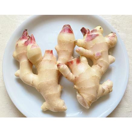 送料無料 新生姜（新ショウガ）4kg 和歌山産 : 紀州田舎の小さな八百屋