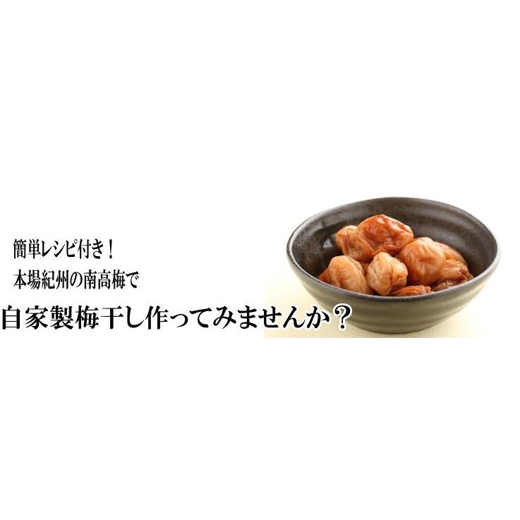 Miju　6/19着 梅干し用　10kg 中熟〜完熟 完熟青梅（南高梅）Lサイズ 10kg 梅干し用 和歌山産 送料無料 : 紀州