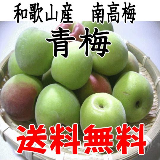 青梅（南高梅) 和歌山産 2L・3Lサイズ 5kg 梅酒用・梅シロップ用 送料
