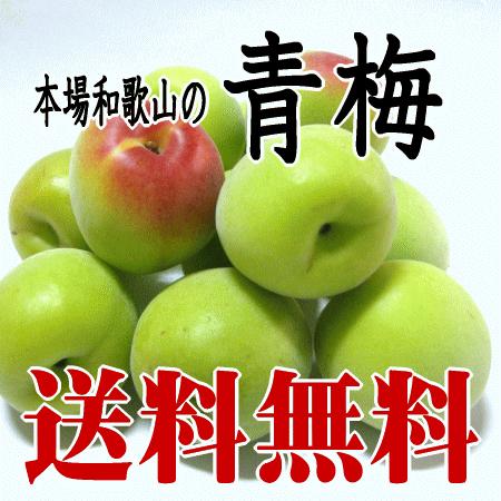 青梅（南高梅）Lサイズ 3kg 梅酒用・梅シロップ用 和歌山産 送料無料 クール代無料｜yaoya-kisyu