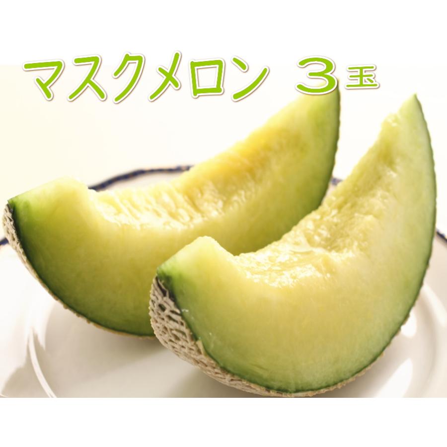 高知県産マスクメロン【家庭用】3玉