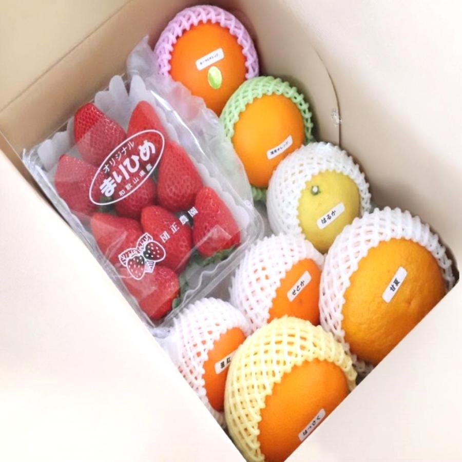 旬のフルーツギフトセット フルーツ詰め合わせ 送料無料 3980 :600-2:紀州田舎の小さな八百屋さん - 通販 - Yahoo!ショッピング 旬のフルーツギフトセット フルーツ詰め合わせ 送料無料 3980 :600-2:紀州田舎の小さな八百屋さん - 通販 - Yahoo!ショッピング