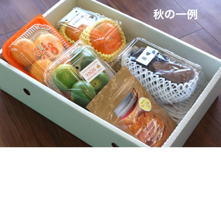 母の日 旬のフルーツギフトセット フルーツ詰め合わせ 送料無料 3980