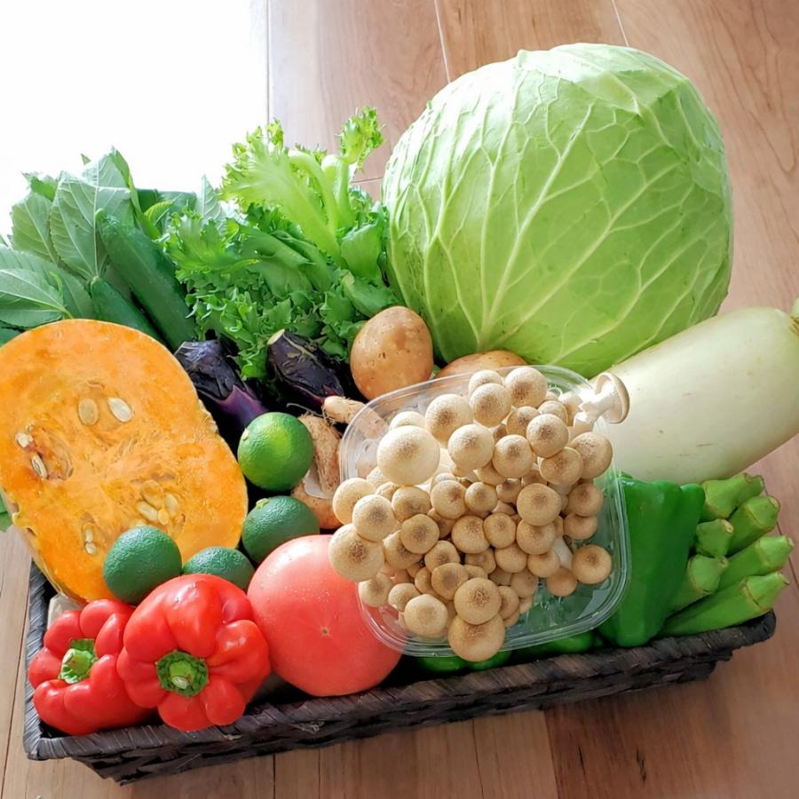 野菜詰め合わせ 旬の新鮮野菜セット 10種以上 和歌山産中心 送料無料
