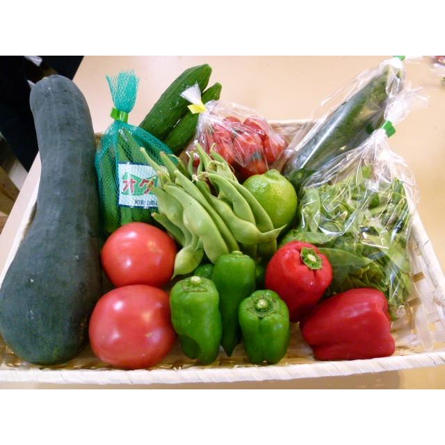 野菜詰め合わせ 旬の新鮮野菜セット 10種以上 和歌山産中心 送料