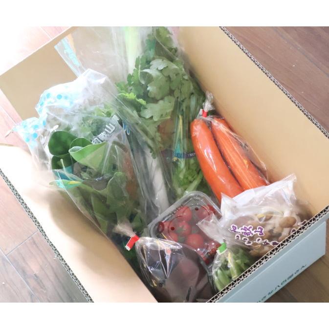 野菜詰め合わせ 旬の新鮮野菜セット 10種以上 和歌山産中心 送料無料