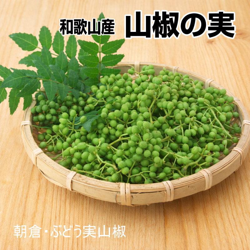 山椒の実（生）200g 和歌山産 実山椒 ぶどう山椒/朝倉山椒 【クール便