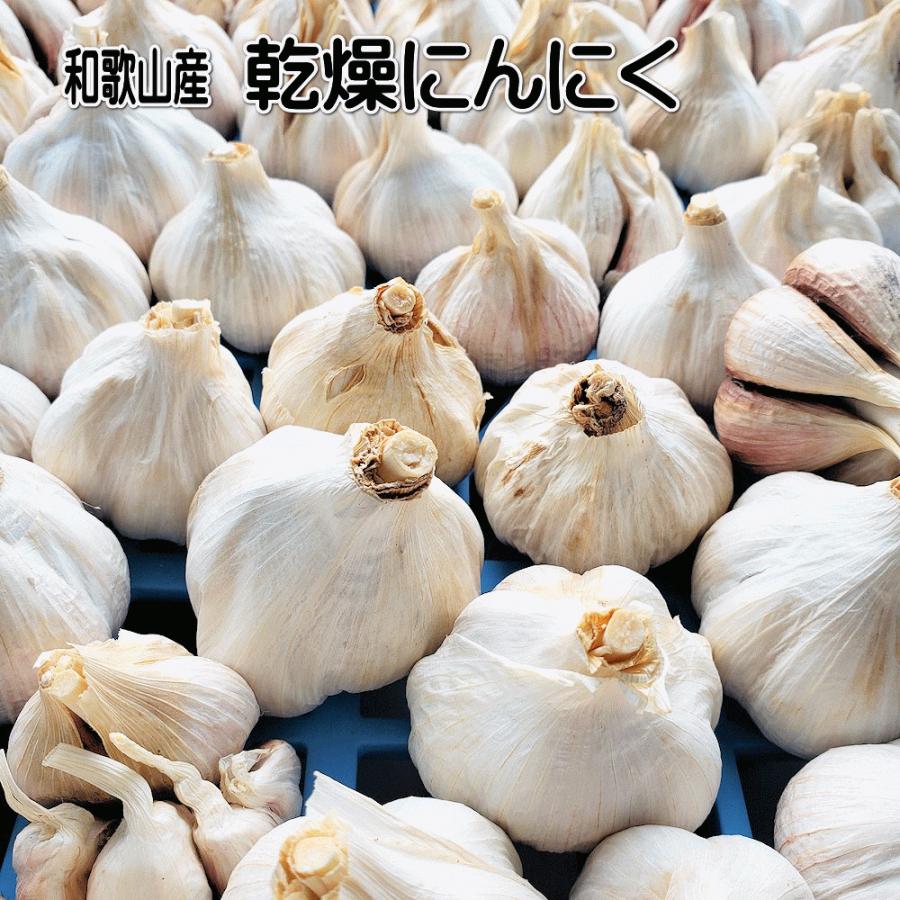 国産ニンニク 乾燥にんにく バラ・欠け含む 約1kg 送料無料 和歌山産 