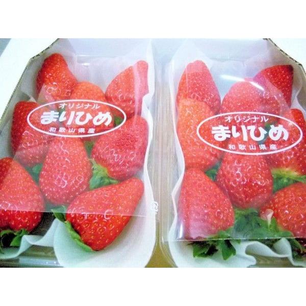 いちご まりひめ 大粒2パック 贈答用 和歌山生まれの新品種 送料無料
