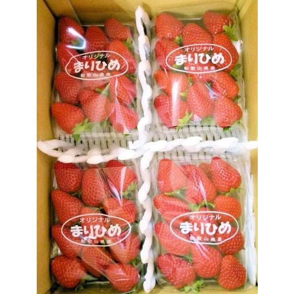 イチゴ まりひめ 4パック 和歌山生まれの新品種 送料無料 : 紀州田舎の
