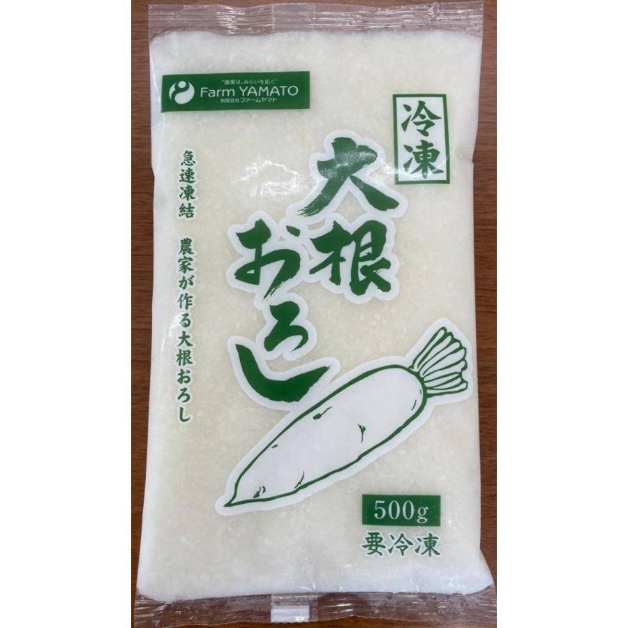 業務用 冷凍大根おろし 500g×20パック 10kg段ボール 国産 宮崎県産