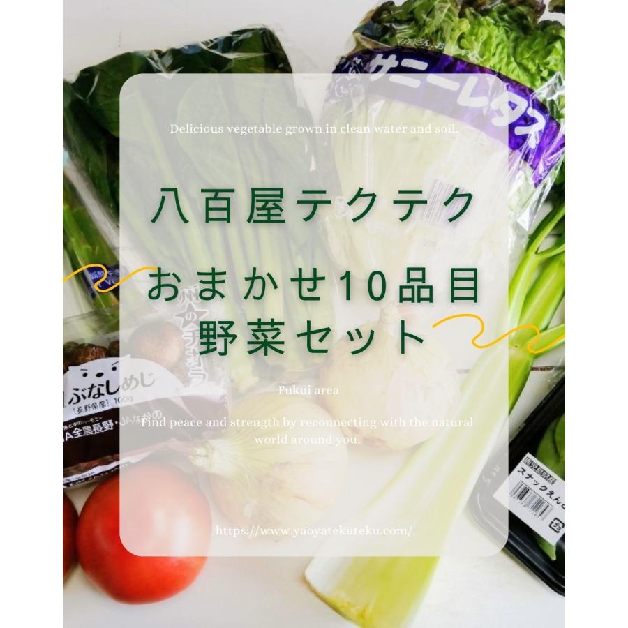 野菜セット おまかせ10品目 旬の野菜詰め合せ 新鮮 産直 クール便 本州・四国は送料無料 商品説明書同封 八百屋テクテクセレクション |  | 02