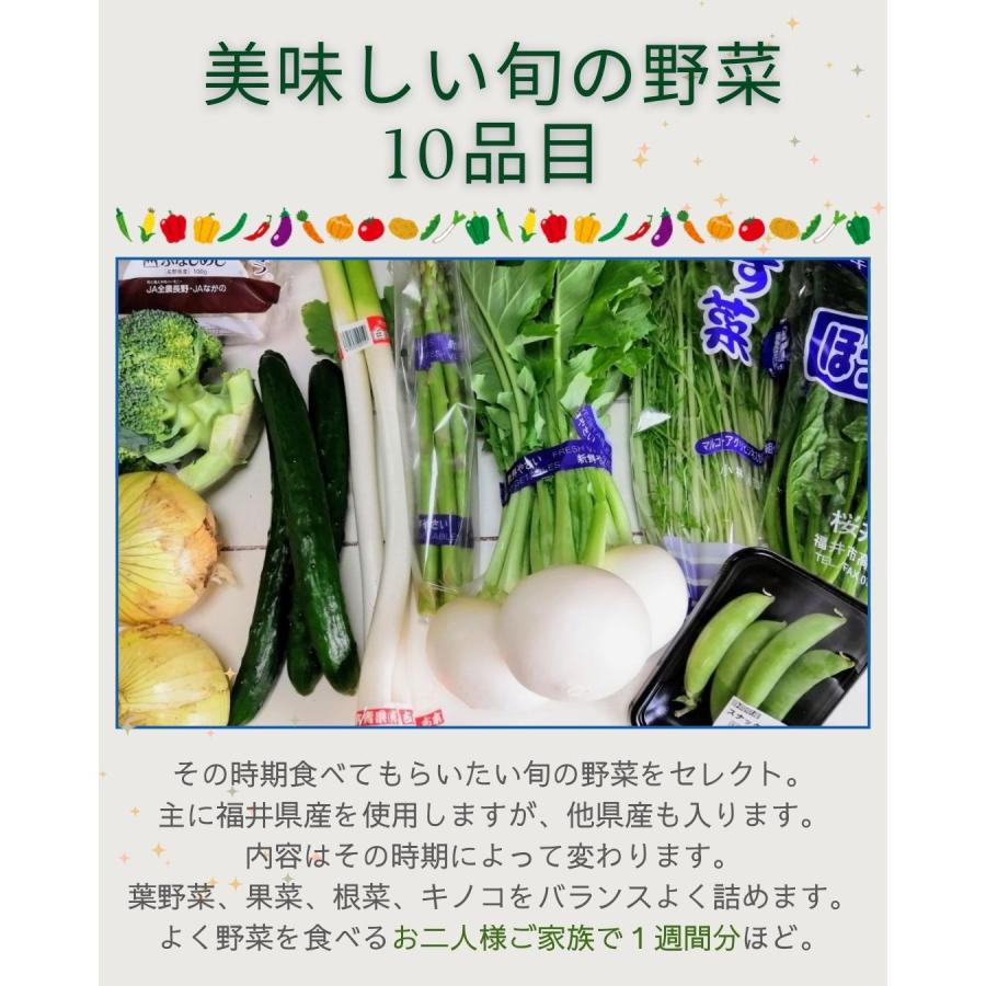 野菜セット おまかせ10品目 旬の野菜詰め合せ 新鮮 産直 クール便 本州・四国は送料無料 商品説明書同封 八百屋テクテクセレクション |  | 03