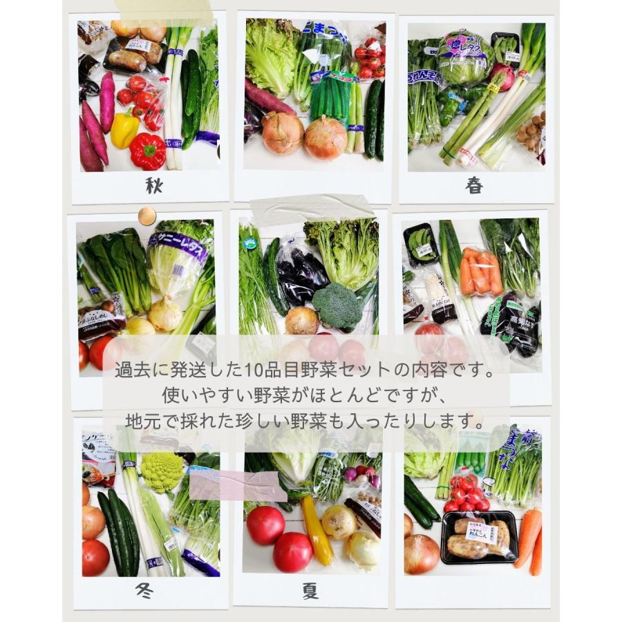 野菜セット おまかせ10品目 旬の野菜詰め合せ 新鮮 産直 クール便 本州・四国は送料無料 商品説明書同封 八百屋テクテクセレクション |  | 04