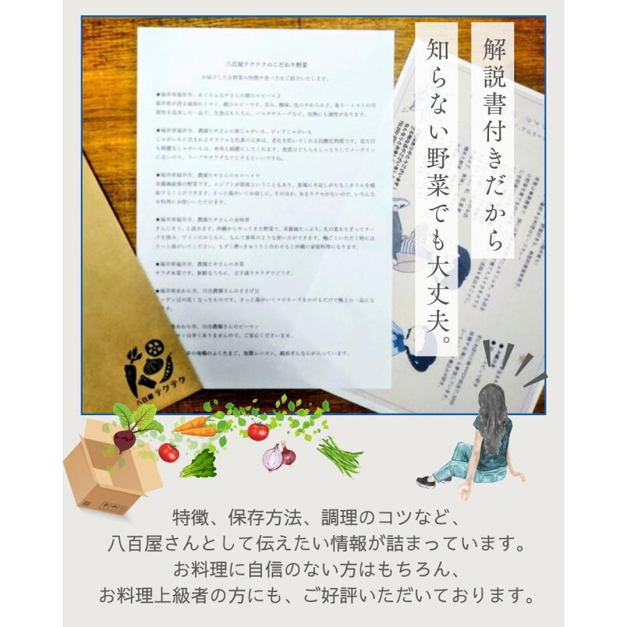 野菜セット おまかせ10品目 旬の野菜詰め合せ 新鮮 産直 クール便 本州・四国は送料無料 商品説明書同封 八百屋テクテクセレクション |  | 05