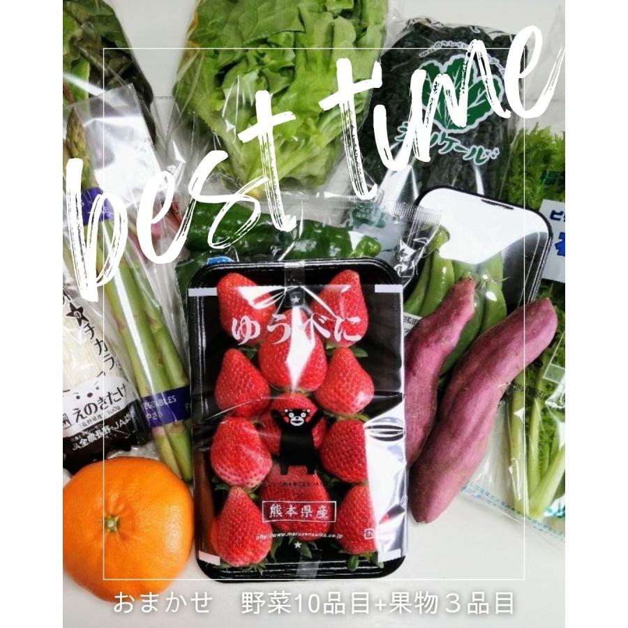 野菜果物セット 野菜10品目+果物3品目  旬の野菜詰め合せ おまかせ 新鮮 産直 クール便 本州・四国は送料無料 商品説明書同封 八百屋テクテクセレクション |  | 01