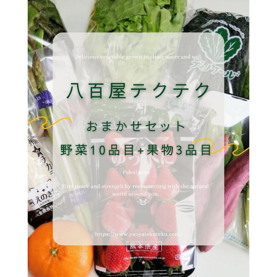 野菜果物セット 野菜10品目+果物3品目  旬の野菜詰め合せ おまかせ 新鮮 産直 クール便 本州・四国は送料無料 商品説明書同封 八百屋テクテクセレクション |  | 02
