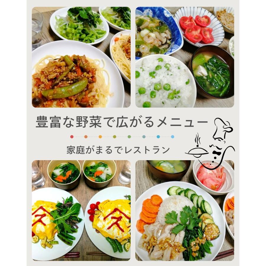 野菜果物セット 野菜10品目+果物3品目  旬の野菜詰め合せ おまかせ 新鮮 産直 クール便 本州・四国は送料無料 商品説明書同封 八百屋テクテクセレクション |  | 06