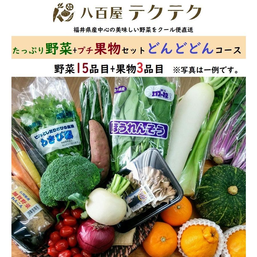 野菜果物セット どんどどんコース 野菜15品目 果物3品目 旬の野菜詰め合せ おまかせ 新鮮 産直 クール便 本州 四国は送料無料 商品説明書同封 006 八百屋テクテク 通販 Yahoo ショッピング