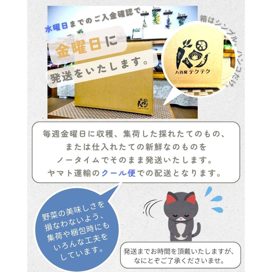 華小町 約1.2kg ミディトマト 越のルビー 福井県産 生産者指定 産直 八百屋テクテクセレクション クール冷蔵便 本州・四国は送料無料 |  | 11