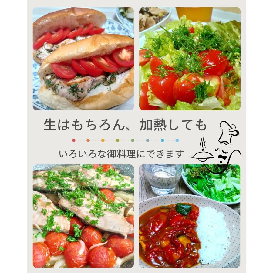 華小町 約1.2kg ミディトマト 越のルビー 福井県産 生産者指定 産直 八百屋テクテクセレクション クール冷蔵便 本州・四国は送料無料 |  | 06