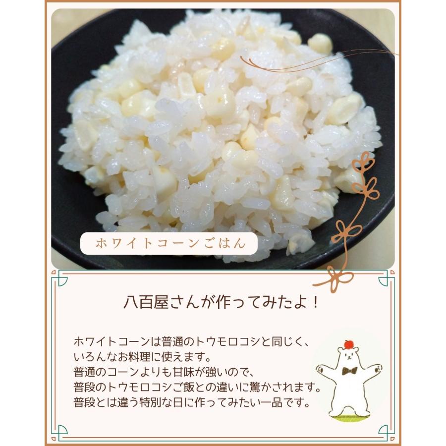 ホワイトコーン 5本 スイートコーン とうもろこし 福井県産 生産者指定 産地直送 八百屋テクテクセレクション クール冷蔵便 |  | 07
