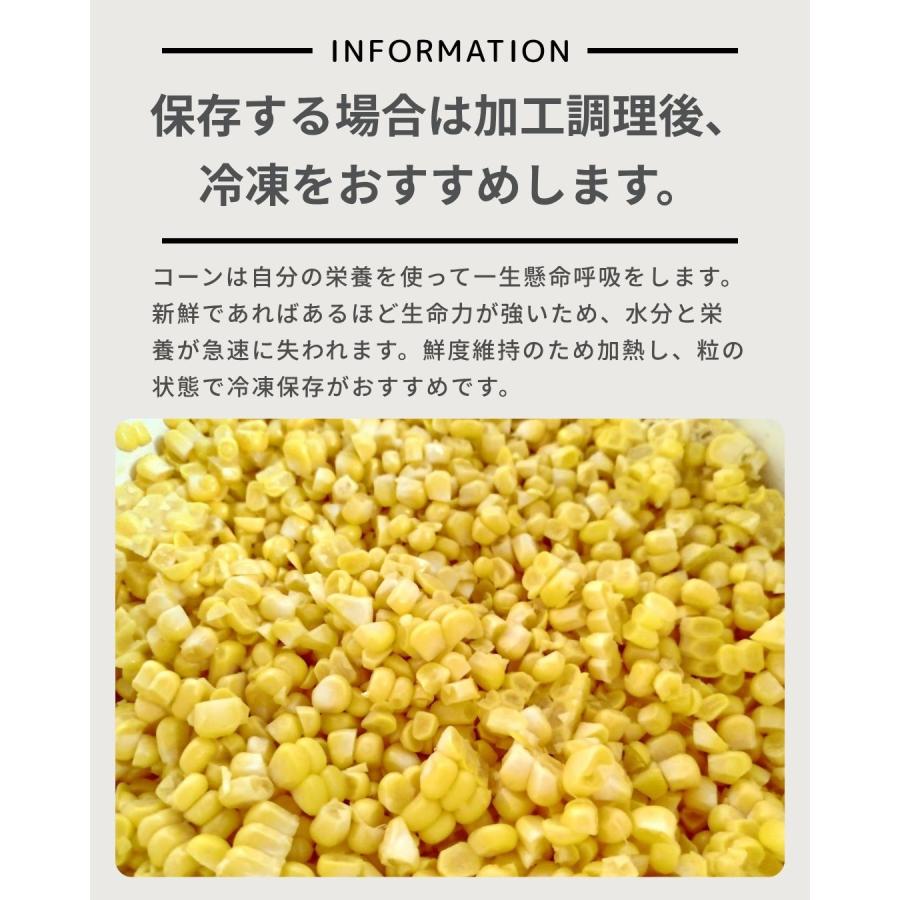 ホワイトコーン 5本 スイートコーン とうもろこし 福井県産 生産者指定 産地直送 八百屋テクテクセレクション クール冷蔵便 |  | 09