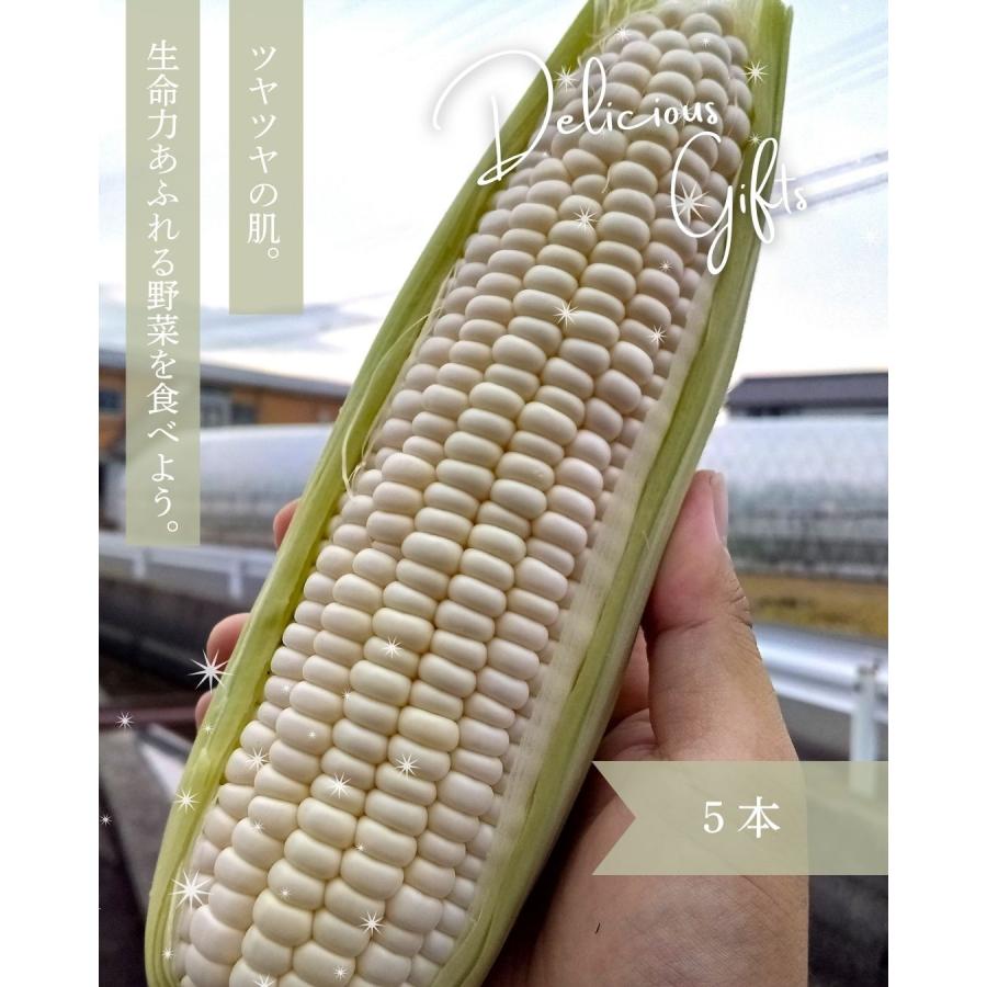 ホワイトコーン 10本 スイートコーン とうもろこし 福井県産 生産者指定 産地直送 八百屋テクテクセレクション クール冷蔵便 |  | 05