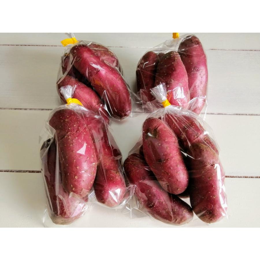 690円 Sale 62 Off ピンクじゃがいも ノーザンルビー 約2kg 福井県産 生産者指定 八百屋テクテクセレクション 常温配送