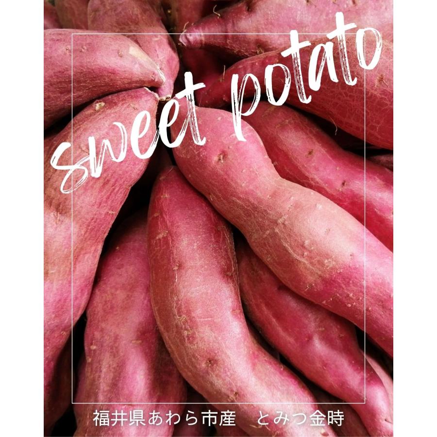 とみつ金時 約3kg さつまいも 福井県あわら市産  冨津金時 八百屋テクテクセレクション 本州・四国は送料無料 |  | 01