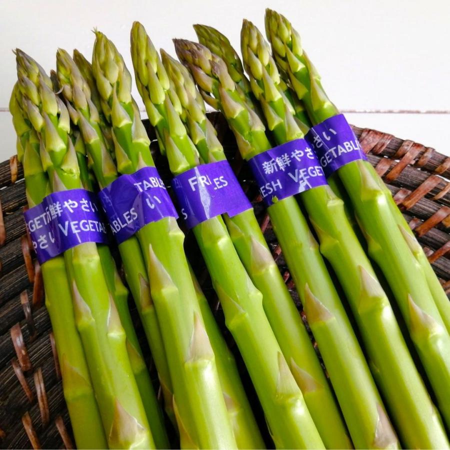 アスパラガス 5束 福井県産 八百屋テクテクセレクション 産直 生産者指定 クール冷蔵便 本州・ 四国は送料無料 | 